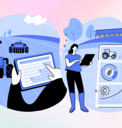 License Management System